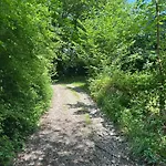 Forest Retreat Nahe Koeln - Private Sauna & Hot Tub & Wallbox شقة فرملزكيرشن