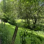 Forest Retreat Nahe Koeln - Private Sauna & Hot Tub & Wallbox Wermelskirchen