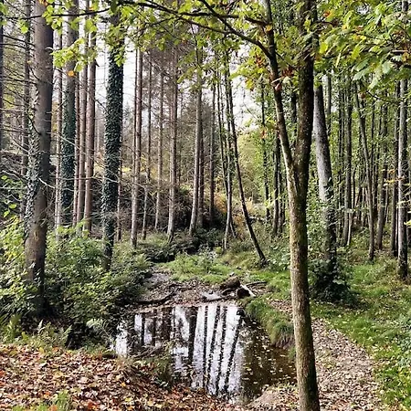 Apartment The Forest Retreat- Luxurioese Mit Privater Sauna Wermelskirchen