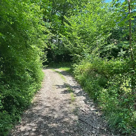 Forest Retreat Nahe Koeln - Private Sauna & Hot Tub Apartament Wermelskirchen