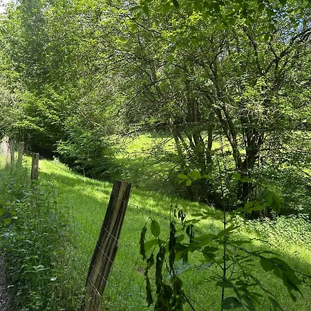 Forest Retreat Nahe Koeln - Private Sauna & Hot Tub Wermelskirchen