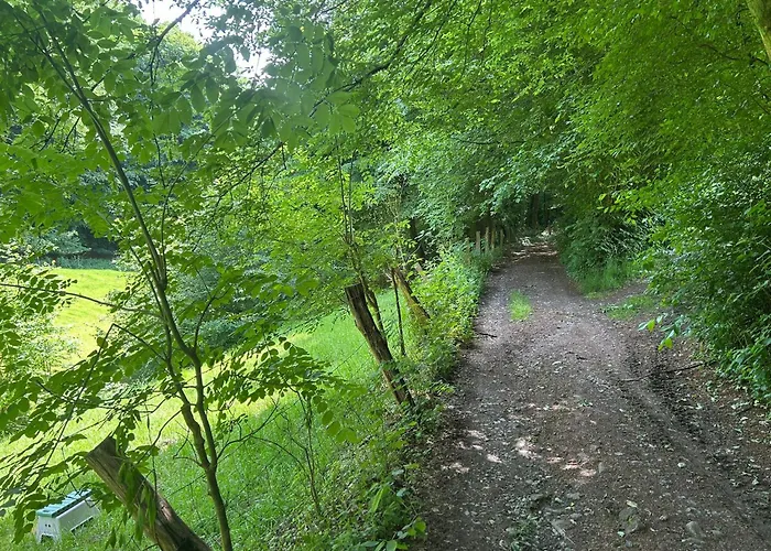 Forest Retreat Nahe Koeln - Private Sauna & Hot Tub Apartamento Wermelskirchen